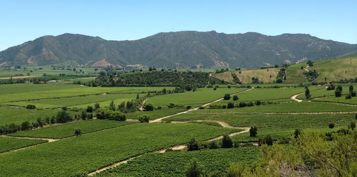 Viñedos y lomajes en el valle de Colchagua